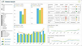 Revenue analysis