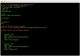 Docker Compose File