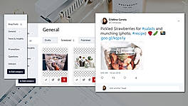 Squirrly Social Screenshot