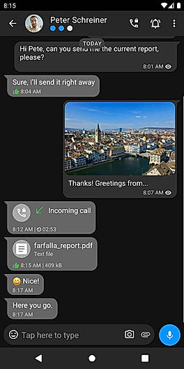 Single Chat Portrait