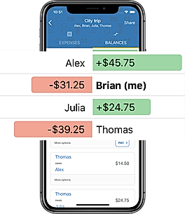 Check Balances screenshot