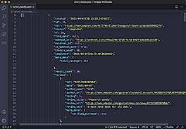 JSON format screenshot