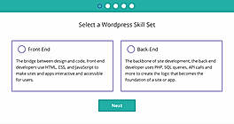 VerifyWP screenshot