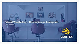 Visual Vocabulary - Cosmetics on Instagram