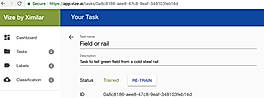 Custom Image Recognition API