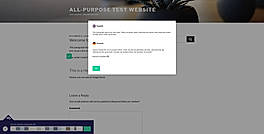 Weglot screenshot