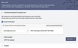 Domain Verification