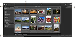 All Photos