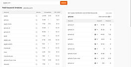 Paid Keyword Analysis