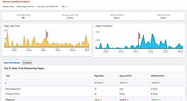 Browser monitoring