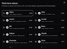 45  Voice Styles