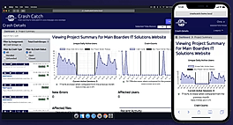 Project Summary
