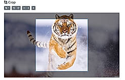 Croppio : Crop screenshot