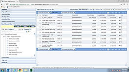 Exego Demo - Exego Select | Email Domain Filter