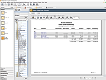 Advanced Reports