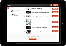 Flamelink screenshot