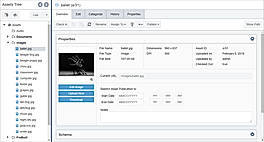 Asset View