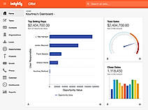 Insightly CRM