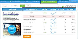 Organic Keywords