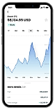 Bitcoin BTC