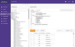 Query Screen
