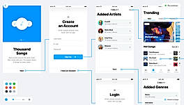 User Flows