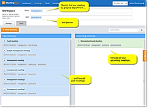 Meeting Overview