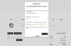 Mopinion screenshot