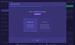 Deployment Option