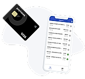 PayHawk screenshot