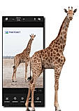 PhotoKit screenshot