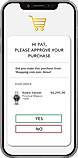 Payment Intent Verification