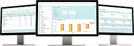 SAP S/4HANA Finance Screenshot