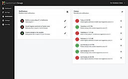 SentimentSnap screenshot