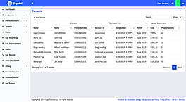 Skytel SIP Trunk : Dashboard screenshot