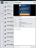 File Details