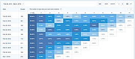 Visitor Insight