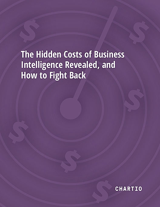 The Hidden Costs of Business Intelligence Revealed, and How to Fight Back