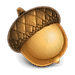 Acorn logo