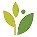 athenaClinicals logo