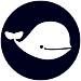 BelugaCDN logo