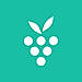 berrycast logo