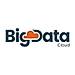 BigDataCloud logo