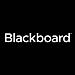Blackboard Ally logo