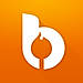 Bonfyre logo
