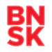 Brainshark logo