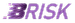 BRISK logo