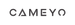 Cameyo logo