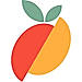Checkmango logo