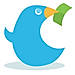 Chirpify logo